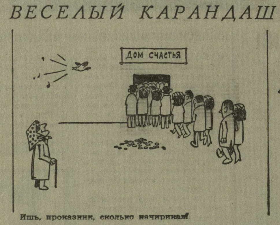 Комнатные растения, приносящие удачу, деньги, счастье: 5 лучших вариантов для вашего дома