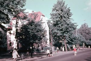 Калининград - Проспект Мира 67, 1965.jpg