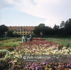 Ботанический сад, 1968.jpg