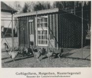 Metgethen - Wettlegehof. Deutschlands Landbau Ostpreussen, 1928 3.jpg